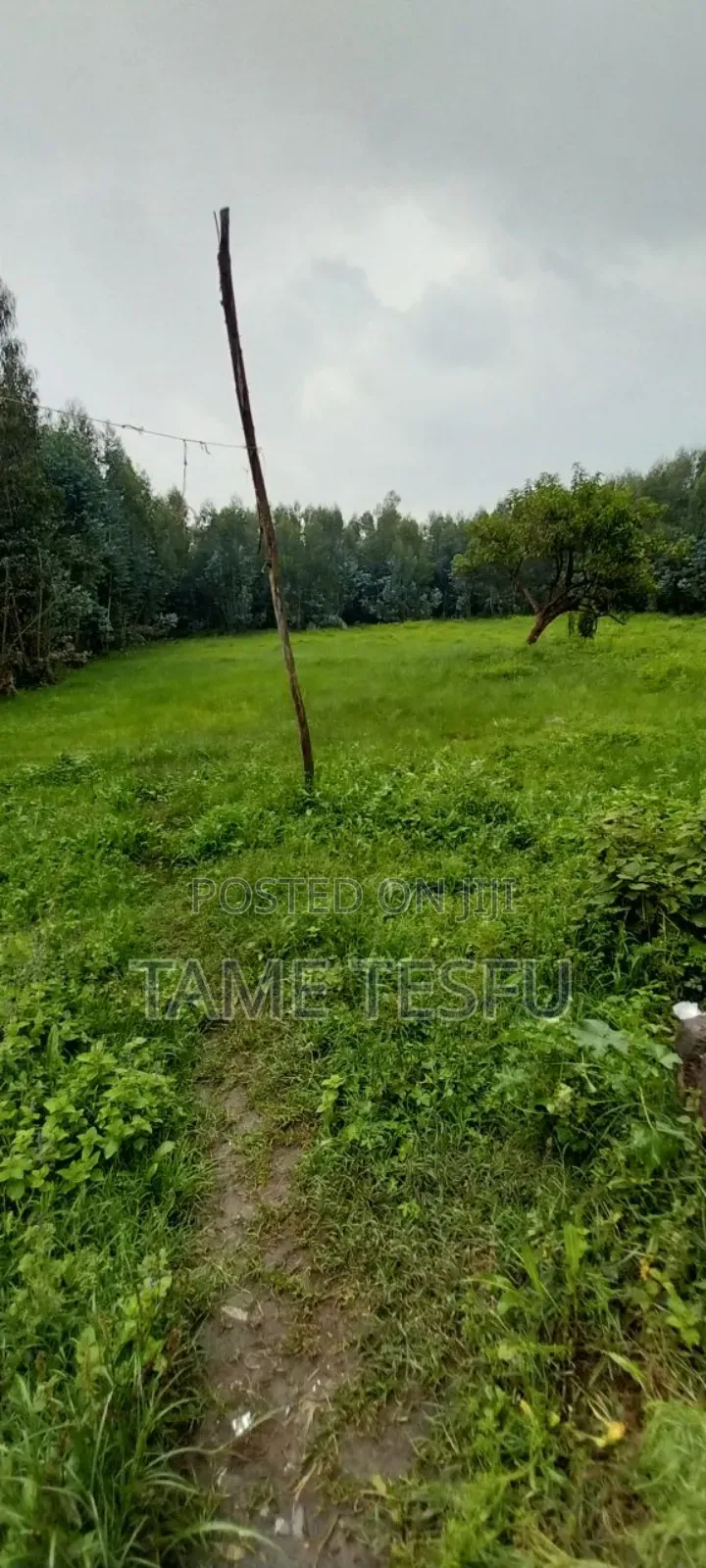 1bdrm House in ኮቶቤ, Yeka for sale