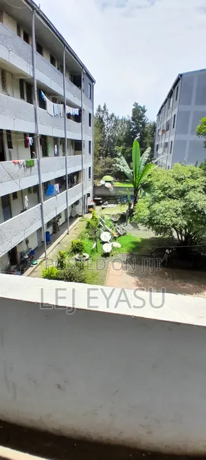 Photo - 1bdrm Condo in Bole for sale