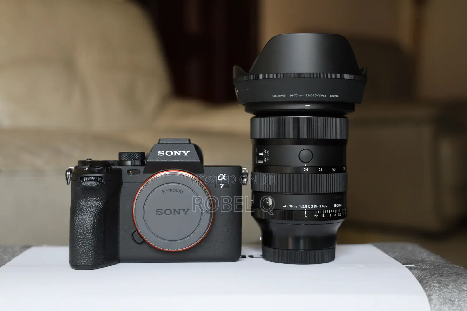 Sony Alpha 7 Iv With Sigma 24-70mm Ii Mirror