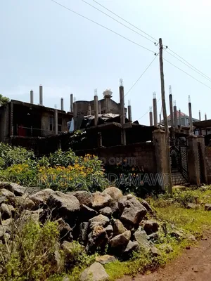 It's the Bast Property in Bahirdar Also It Is Close to the Road