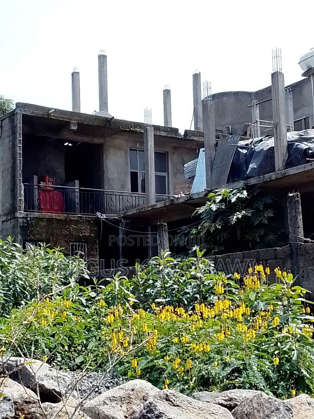 It's the Bast Property in Bahirdar Also It Is Close to the Road