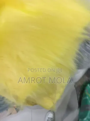 Leteleyahu TKM Yalachewu Fer