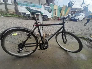 Photo - Viva Bicycle