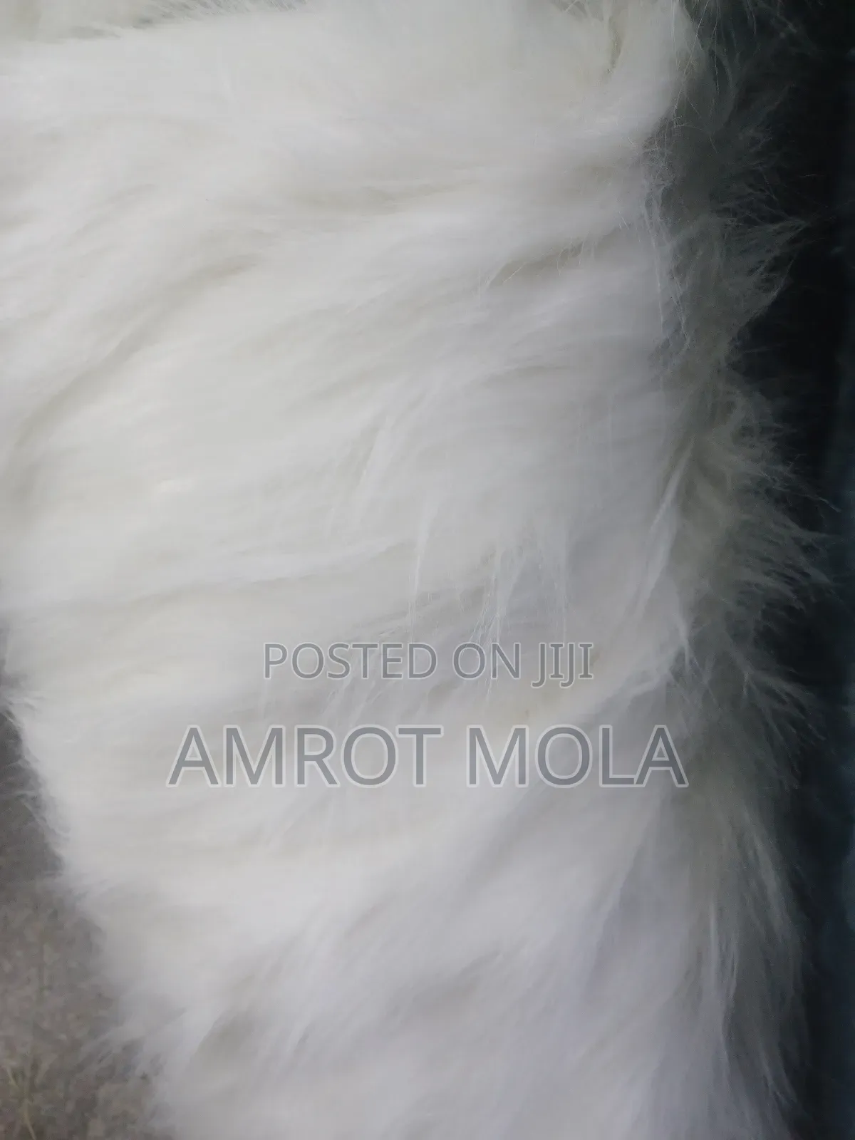 Wubet Yalachewu Fer Ntafochi Alun