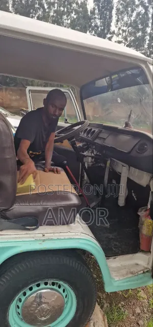 Volkswagen Transporter 1980 Blue