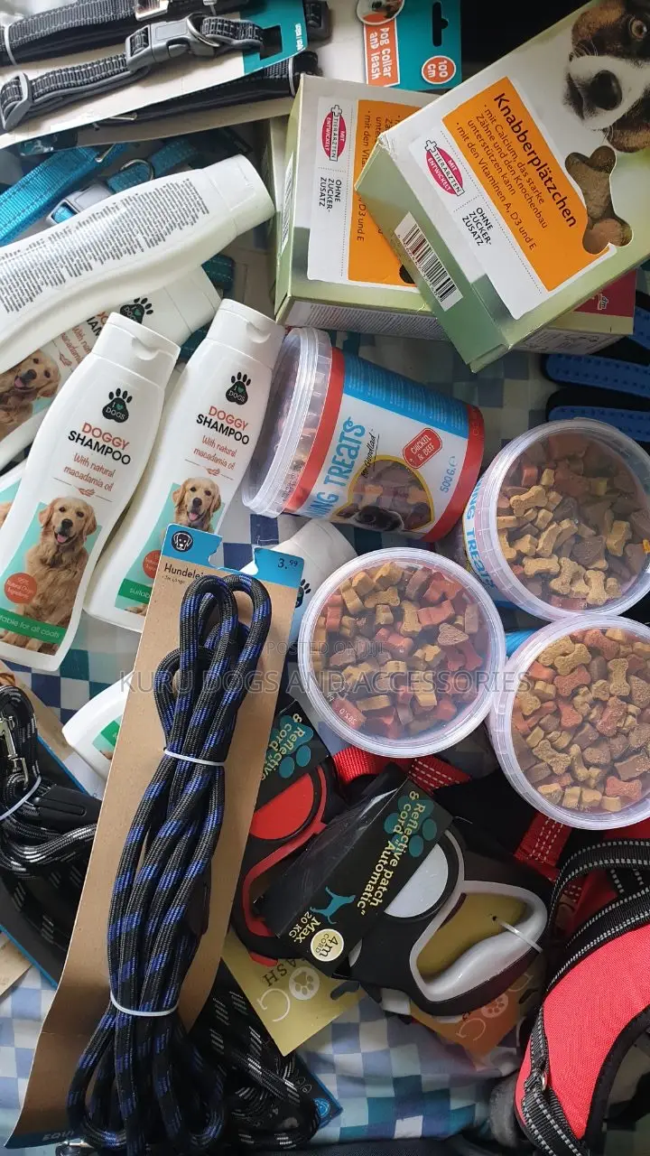 Any Kind of Dog Accessories