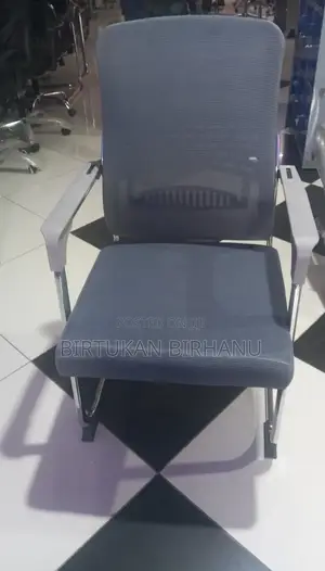 Gust Chair (Silver Couler)