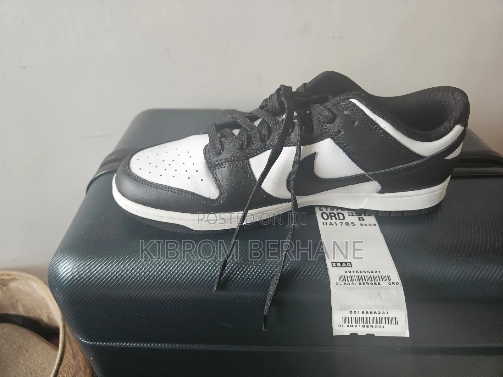 Nike Dunk Low Retro Panda