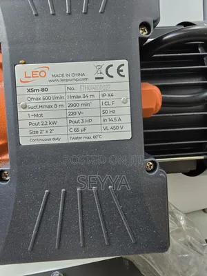 Leo Surface Pump