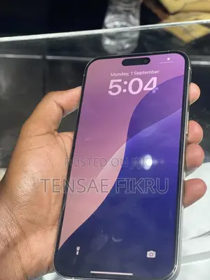 Apple iPhone 15 Pro Max 256 GB Silver