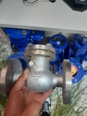 Steam Cheek Valve