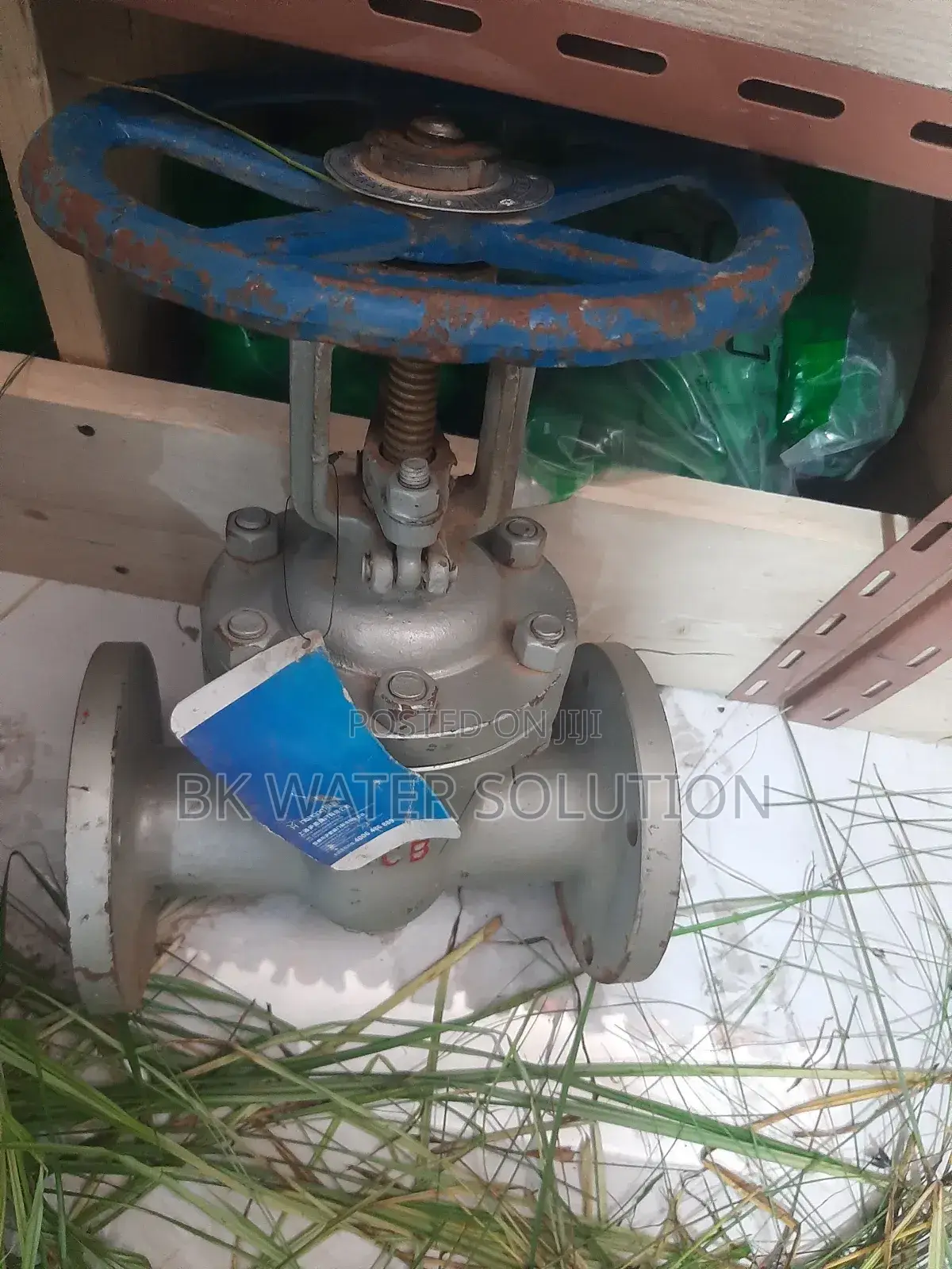 Steam Cheek Valve