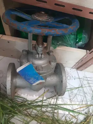 Steam Cheek Valve