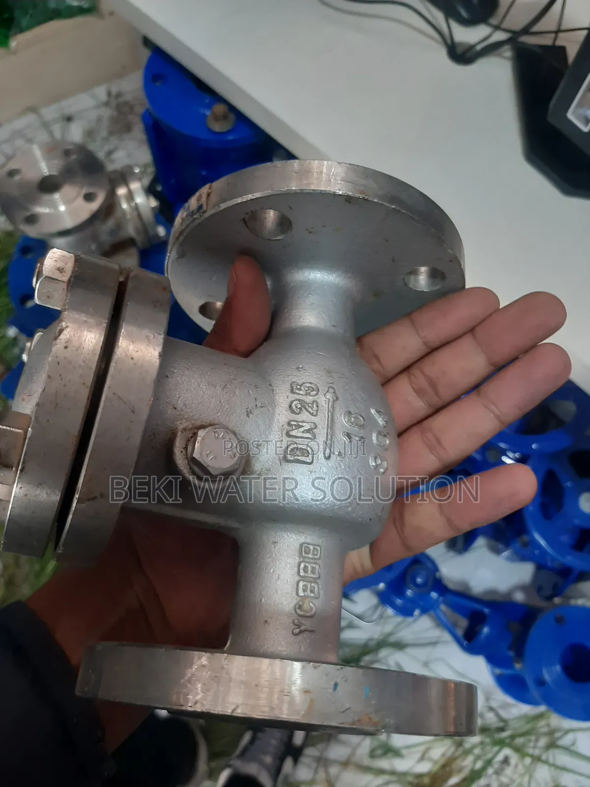 Steam Cheek Valve