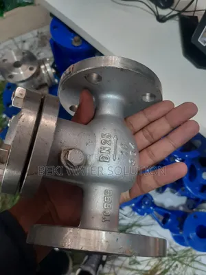 Steam Cheek Valve