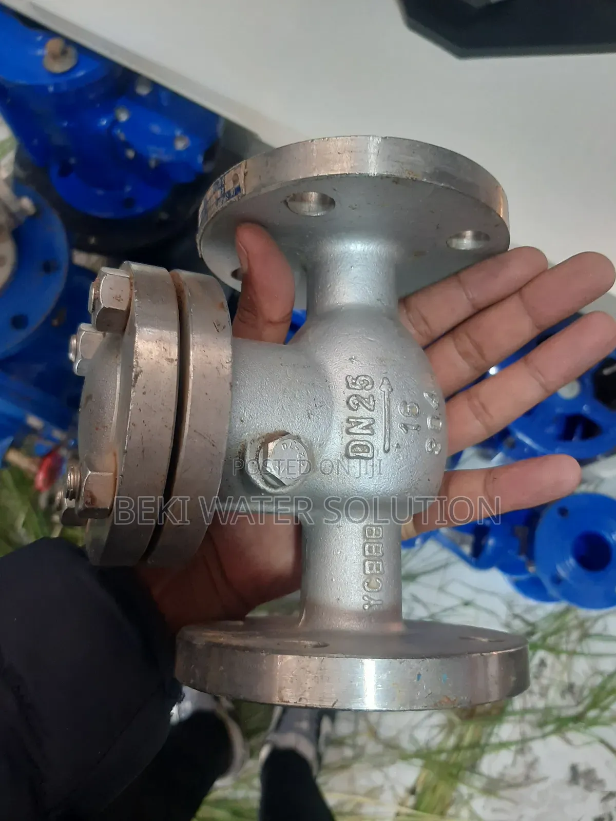 Steam Cheek Valve
