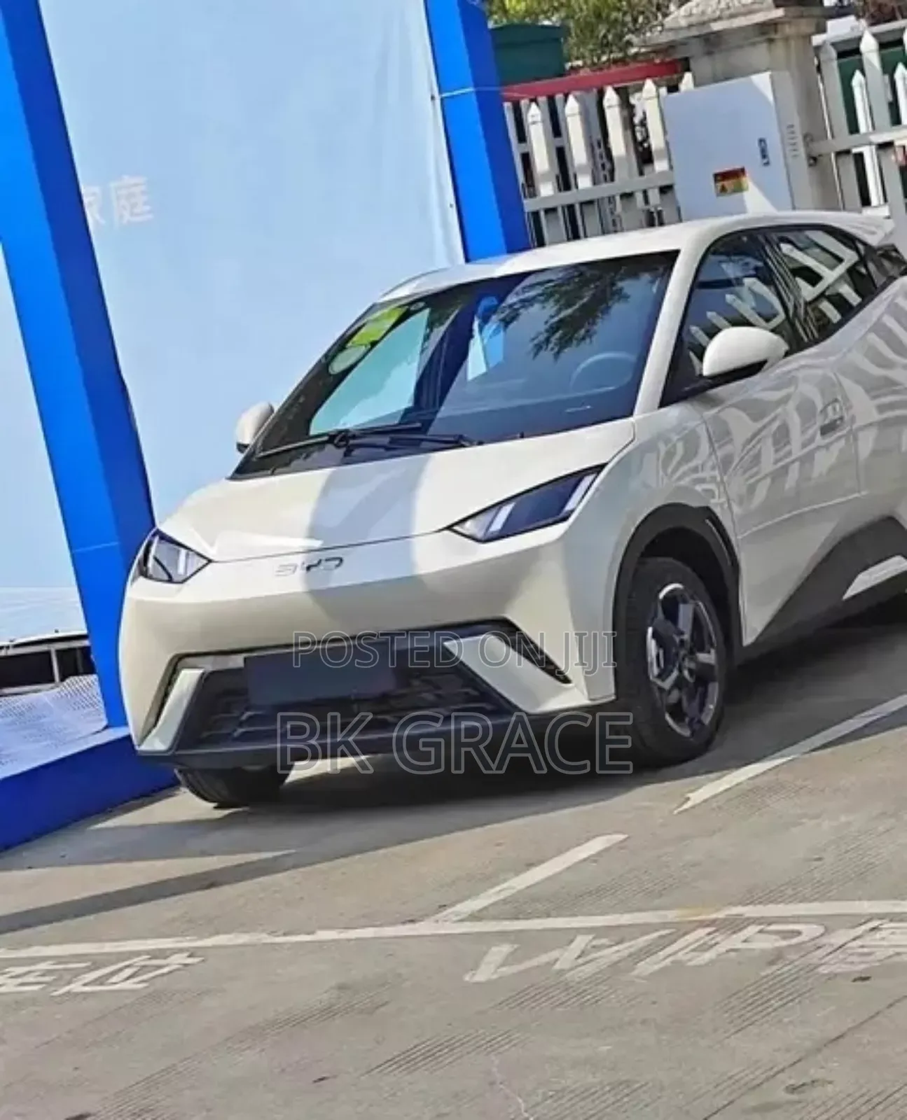 New BYD Seagull 2025 White