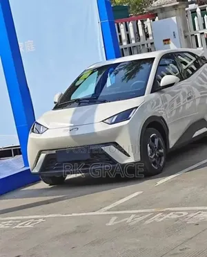 New BYD Seagull 2025 White