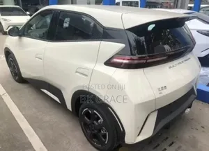 New BYD Seagull 2025 White