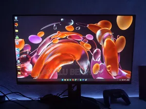 Dell 24 Inch Monitor