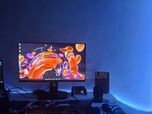 Dell 24 Inch Monitor