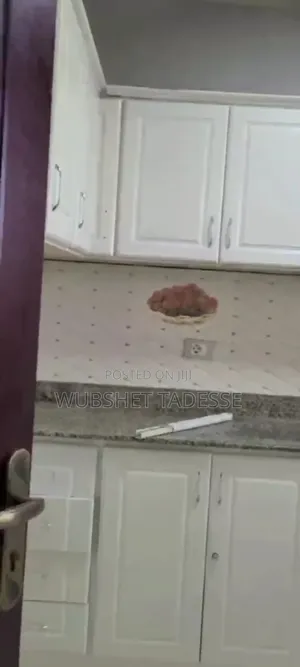 Furnished 3bdrm Condo in አራብሳ ሳይት, Bole for sale