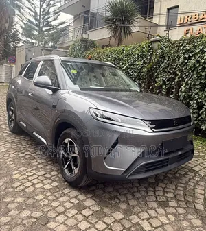 Photo - New BYD Yuan Up 2025 Gray