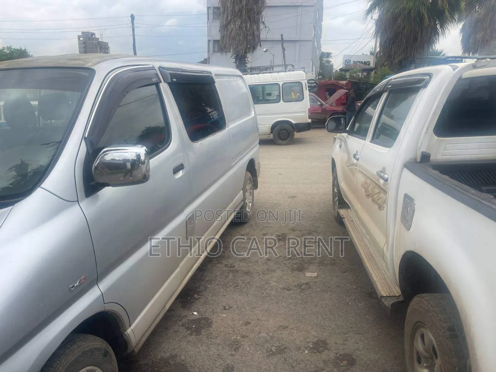 Dolphin Van for Rent