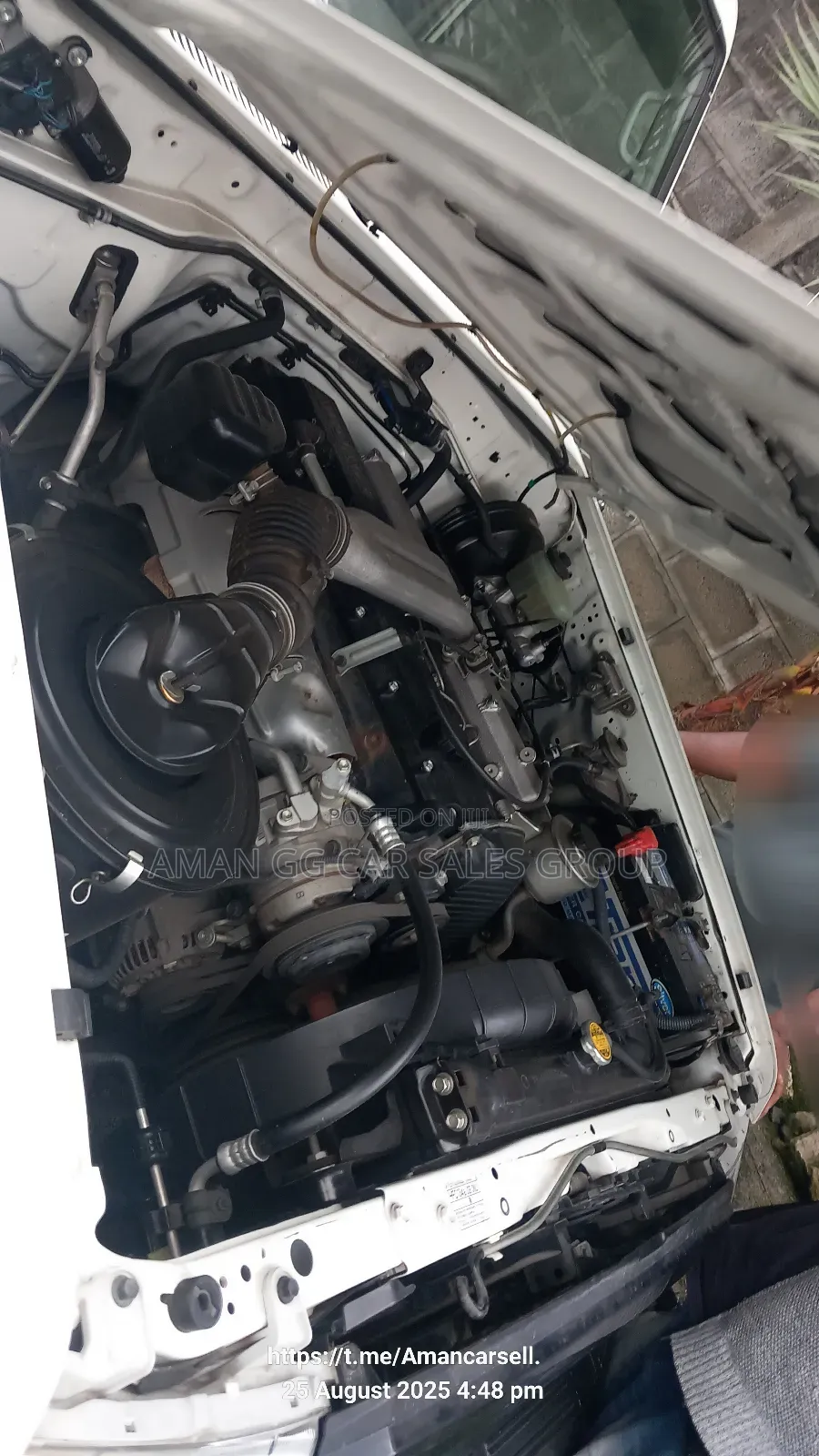 Toyota Land Cruiser 2015 White