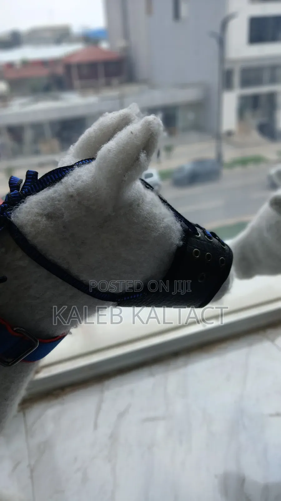 Adjustable Dog Mouse Guard/Muzzle