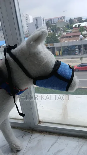 Adjustable Dog Mouse Guard/Muzzle