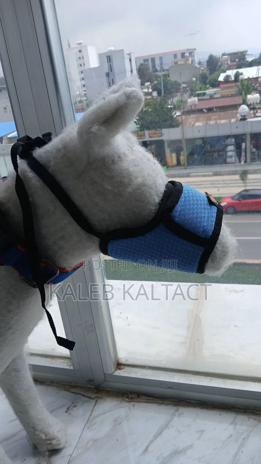 Adjustable Dog Mouse Guard/Muzzle