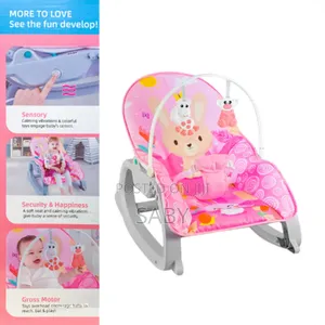 3 in 1 Newborn to Toddler Rocker