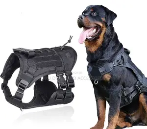 Photo -  Vest for Dogs