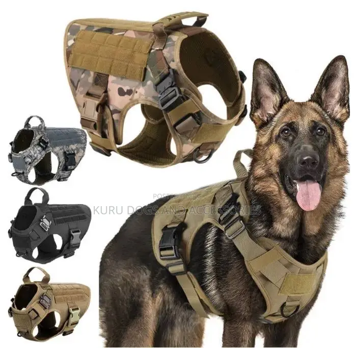  Vest for Dogs