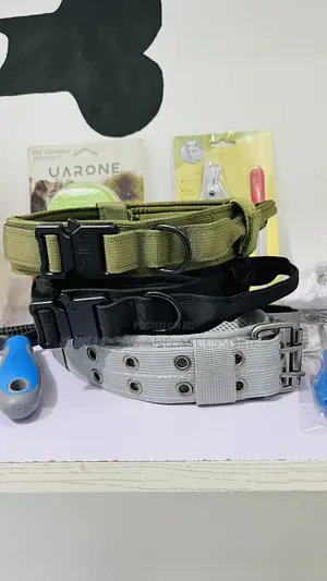 Photo - Tactail Leash and Collar