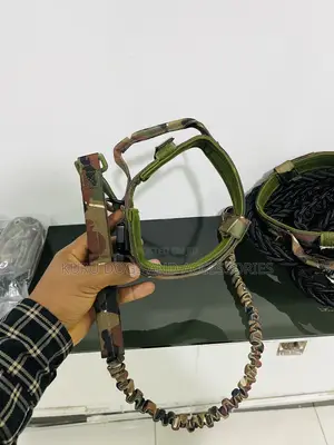 Tactail Leash and Collar