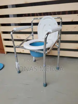 Photo - Commode Chair瘓غacts as a Portable Potty on the Road∆庲handicap Toilet