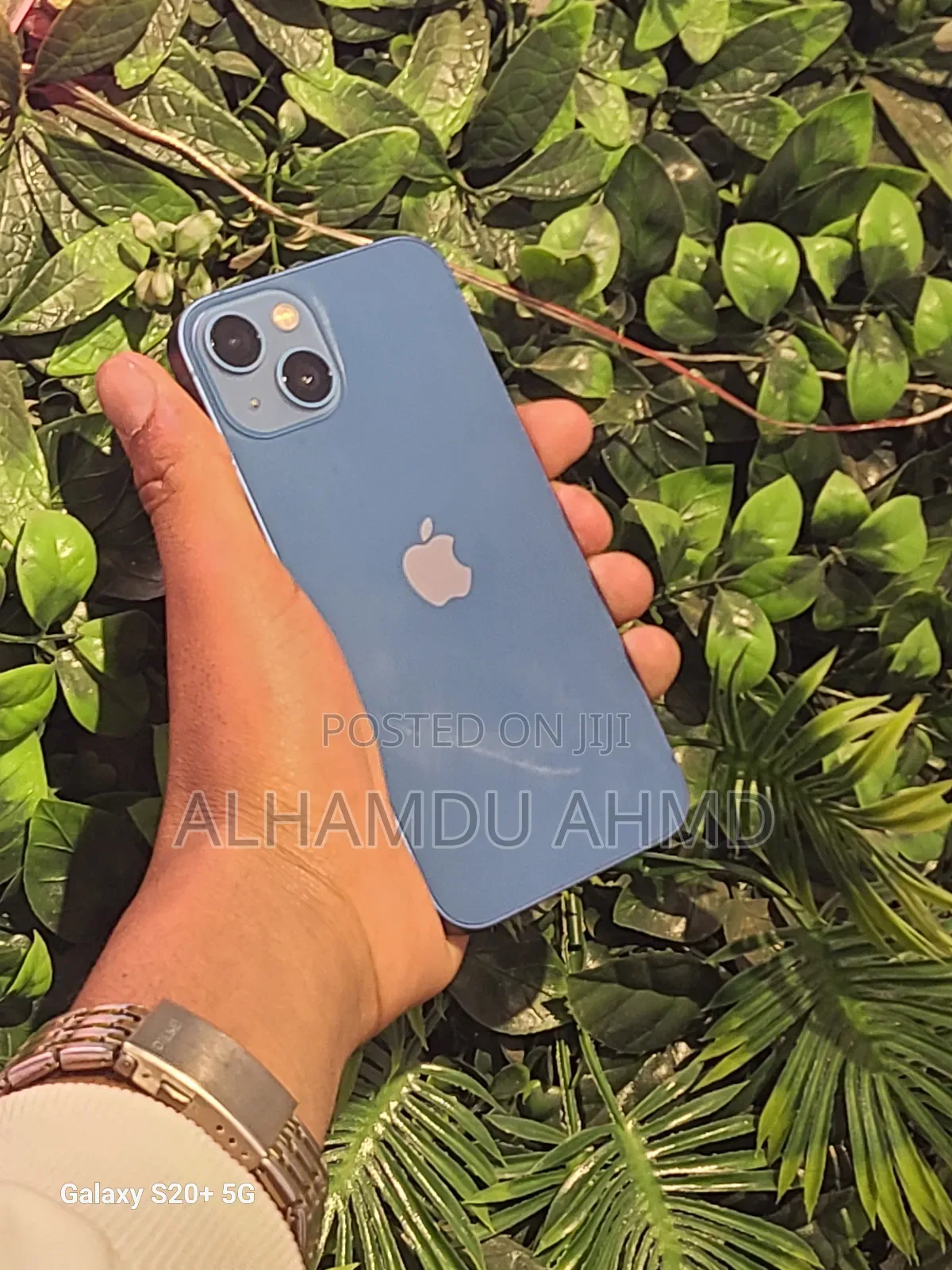 Apple iPhone 13 128 GB