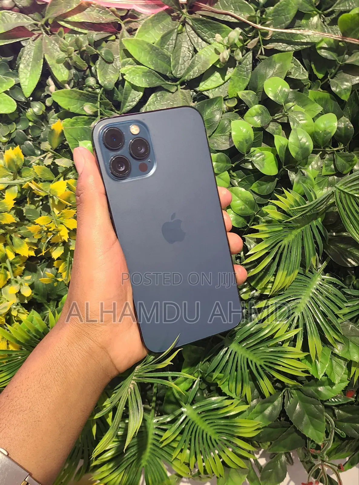 Apple iPhone 12 Pro Max 256 GB