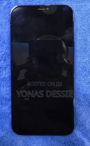 Apple iPhone 12 Pro Max 256 GB Blue