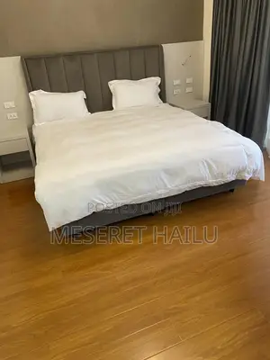 Furnished 3bdrm Apartment in Bole for rent