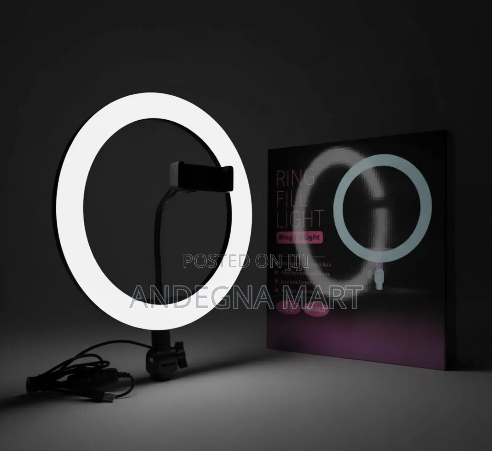 For the Best Content, 10-Inch Soft Ring Light: Standard in Lighting.