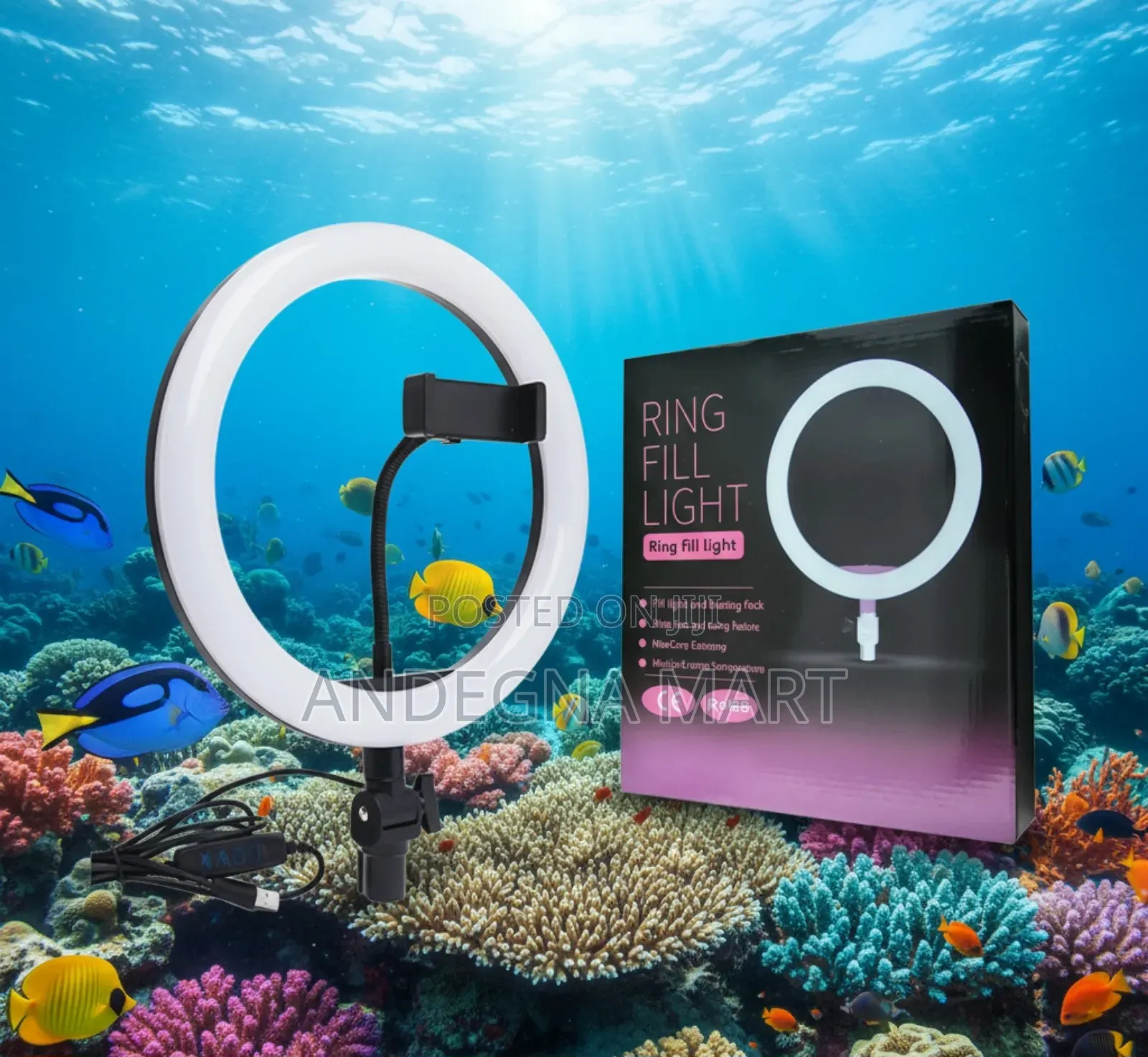 For the Best Content, 10-Inch Soft Ring:Perfect Lighting Solution.