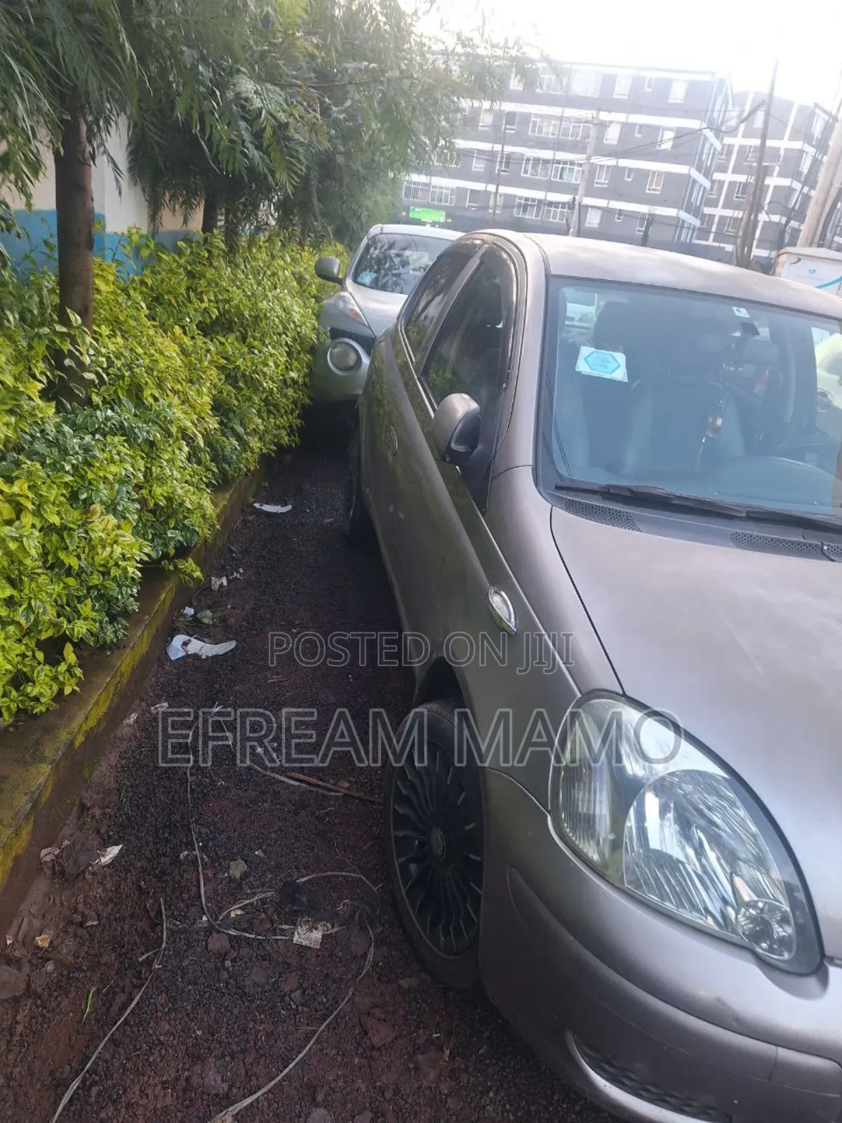 Toyota Vitz 2004 Brown