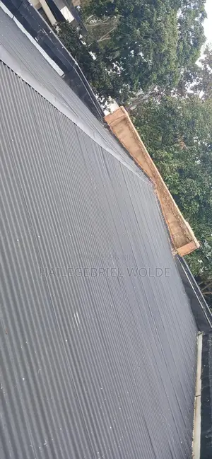 Photo - Water Shield