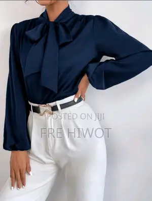 Satin Tie Neck Bishop Sleeve Blouse