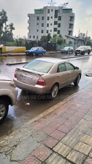 Toyota Corolla 2004 Gray