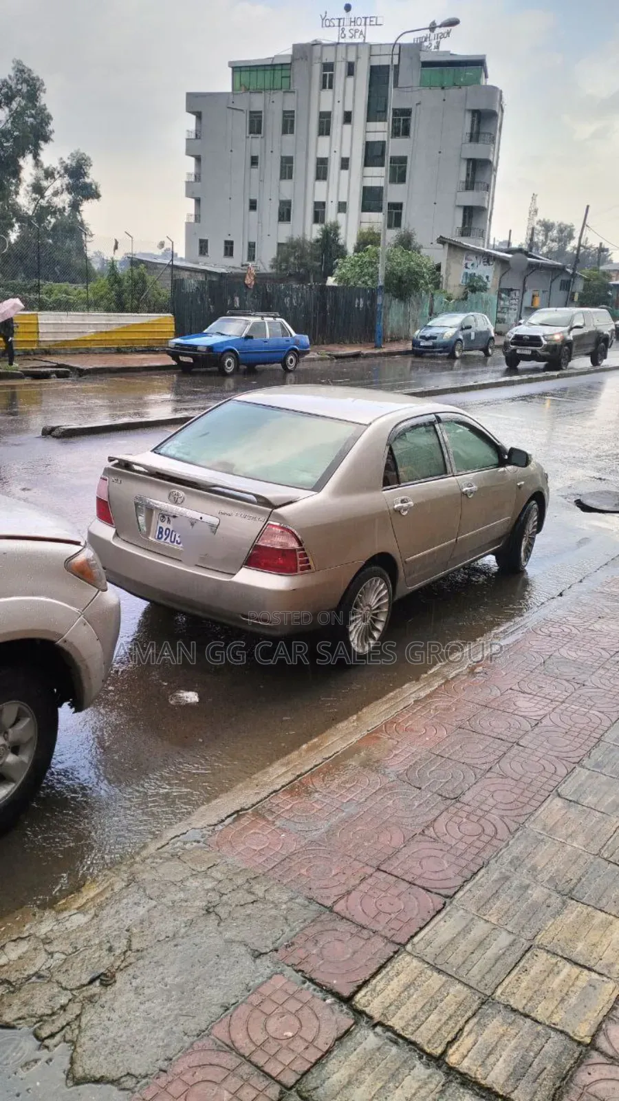 Toyota Corolla 2004 Gray