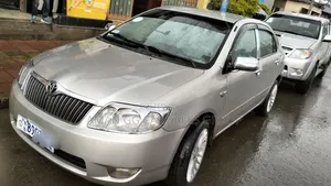 Toyota Corolla 2004 Gray